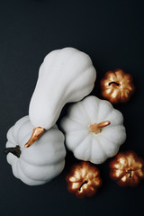 pumpkins of different sizes and colors on a black background