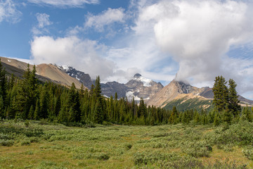 Fototapeta premium Mount Athabasca and Hilda Peak, Canada