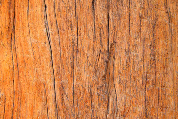 Naklejka premium Gold-rimmed nanmu texture