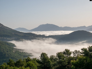  wooded landscape with clouds of mists below