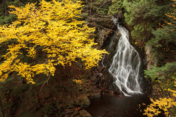 First waterfall from "La Friponne" stream in autumn in Cap-Tourmente nature reserve. St.Joachin, Qc. Canada 