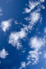Blue Sky and Cloud Background