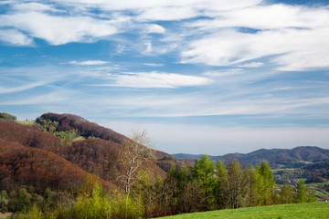 Beskid Sadecki in Spring, Poland. View from mount Dzielnica (near village Wola Krogulecka) towards village Rytro.