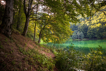 Obraz premium Beautiful turquoise lake surrounded by green forest and mountains. Balkana lake in Bosnia and Herzegovina.