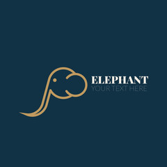 Elephant design logo, simple vector illustration of the elephant.