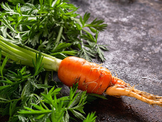 fresh raw ugly food carrots with curled leaves