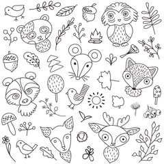 Advertising set  hand-drawn cute forest animals.