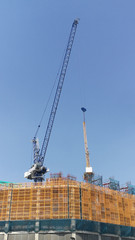 Large construction site and cranes working for a big building, with clear blue sky background in a hot day.