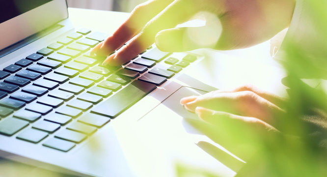 Female hands working on laptop on light background closeup. View from behind the green flower.