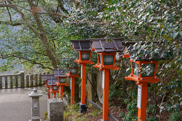 Japanese lantern