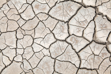 cracked saline-alkali land