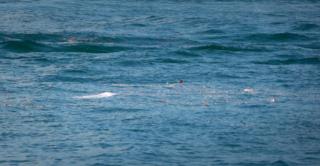 Floating ash and flower petal to the sea. It's belief of Thai culture to do after funeral.