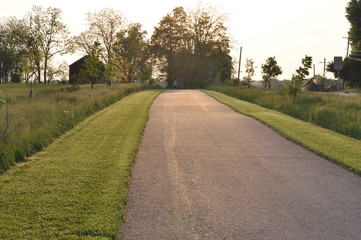 Obraz premium Path