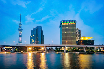Fototapeta na wymiar Cityscape of Tokyo skyline, panorama view of office building at Sumida river in Tokyo in the evening. Japan, Asia.