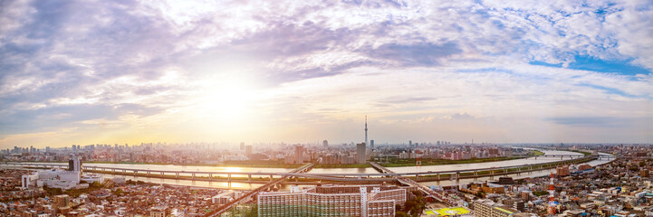 Cityscape of Tokyo skyline, panorama aerial skyscrapers view of office building and downtown in Tokyo on sunset. Japan, Asia.