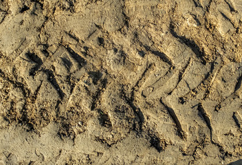 Tracks left by a tractor, on wet soil, ready for cultivation