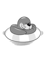 Seehund meer wasser süss lieb lustig schwimmen Pazifik atlantik faulenzen urlaub witzig 3c