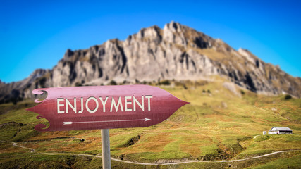 Street Sign to Enjoyment