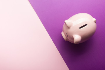 Piggy bank and dollar cash money. Business, finance, investment, saving and corruption concept.