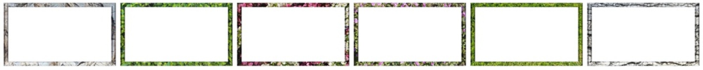 Obraz premium 6 kinds of tree, plant, bark, flower patterned square frames