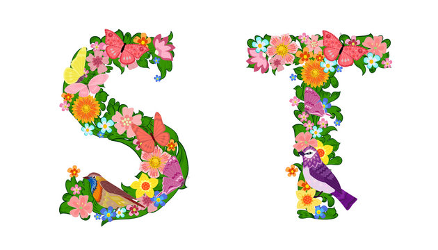 fancy collection of colorful letters S, T with butterflies and b