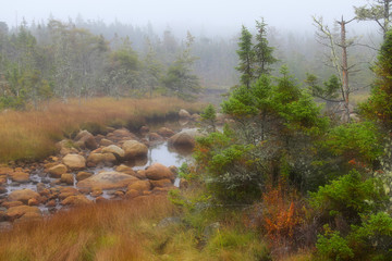 Foggy Morning in Nova Scotia