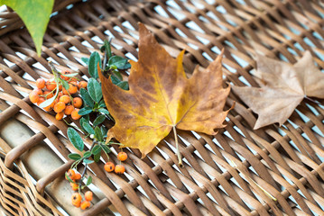 dry leaves on a table in an old chair