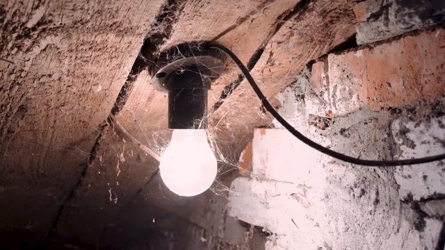 Flashing lightbulb in the web in the old basement of the house.