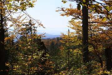 Obraz premium bayerische wald