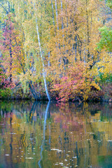 The brilliance of colors by the water