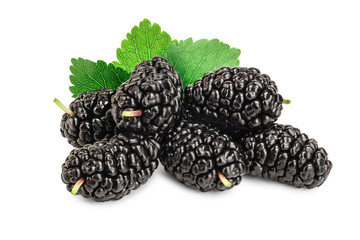 Mulberry with leaf isolated on white background