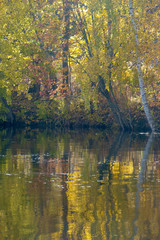 Fototapeta premium The brilliance of colors by the water