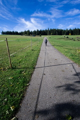 Schwarzwald im Herbst