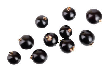 black currant isolated on white background. Top view. Flat lay pattern