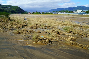 Flood damage caused by typhoon 19 