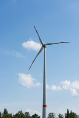 Windrad in Brandenburg