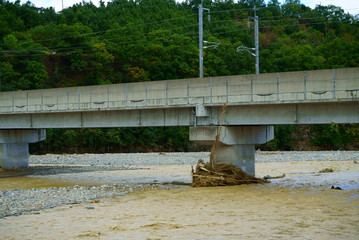 Flood damage caused by typhoon 19 