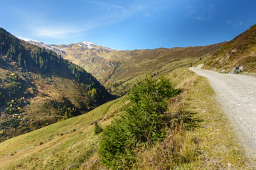 Fototapeta na wymiar Mountainbike und Wanderweg im Zillertal