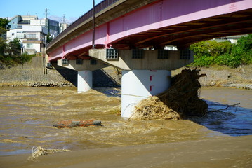 Flood damage caused by typhoon 19 