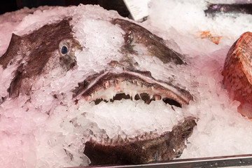 Fototapeta premium Fish at a stall in Mercado de San Miguel market in Madrid, Spain