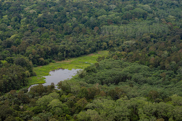 Fototapeta na wymiar Visão aérea rio amazonas