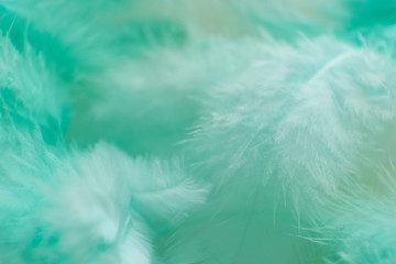 Fototapeta na wymiar feather fashion design background - Happy Valentine fuzzy textured soft focused photograph
