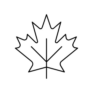 recommend clip art: Canada Maple Leaf Minimal Flat Line Outline Stroke Icon Pictogram Symbol