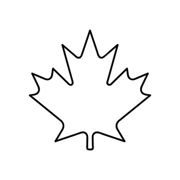 Canada Maple Leaf Minimal Flat Line Outline Stroke Icon Pictogram Symbol