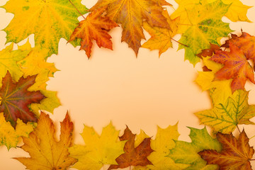 Naklejka na ściany i meble Autumn leaves on yellow background