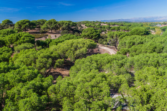 Casa De Campo Park In Madrid, Spain