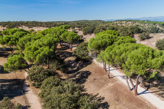 Casa De Campo Park In Madrid, Spain