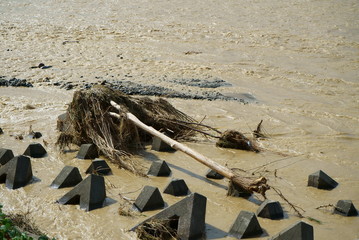 Flood damage caused by typhoon 19 