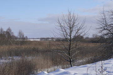 Beautiful winter landscape with a snowy river and lake. Christmas and New Year theme