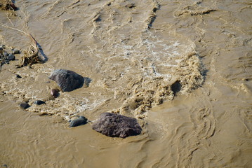 Flood damage caused by typhoon 19 